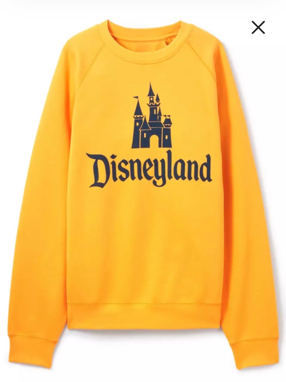 Disneyland vault sweatshirt